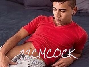 22_CM_COCK
