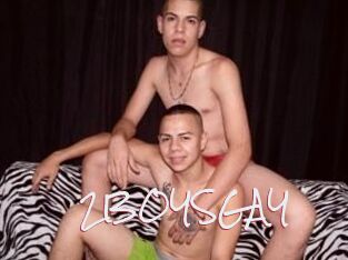 2BOYS_GAY