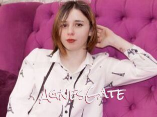 AgnesGate