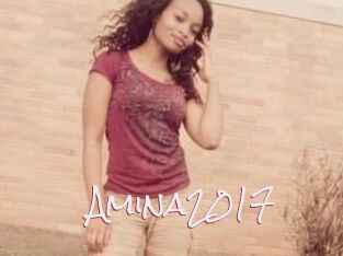 Amina2017