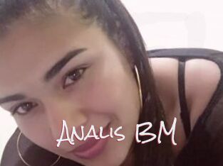 Analis_BM