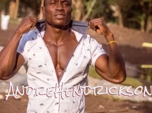 AndreHendrickson