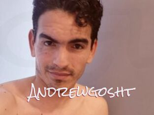 Andrewgosht