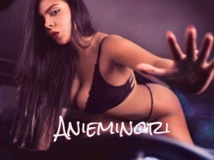 Anieminori