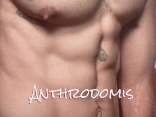 Anthrodomis