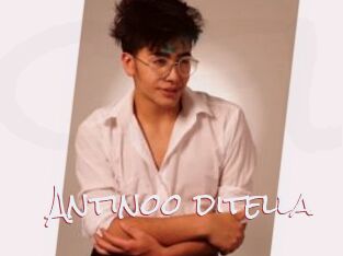Antinoo_ditella
