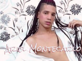 Ariel_Montecarlo