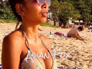 Asian_Fox