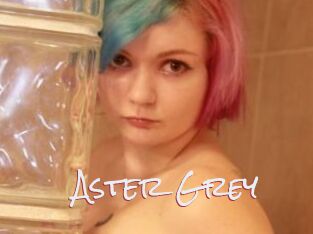 Aster_Grey