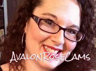 AvalonRoseCams