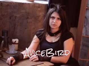 AviceBird
