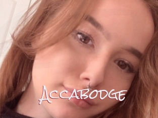 Accabodge