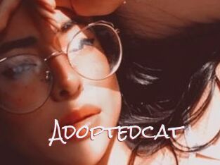 Adoptedcat
