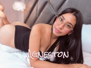 Agneston