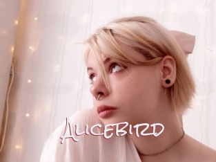 Alicebird