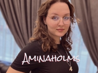 Aminaholms