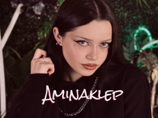 Aminaklep