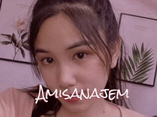 Amisanajem