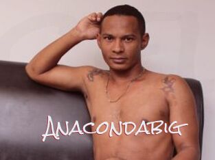 Anacondabig