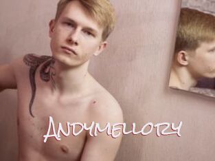 Andymellory