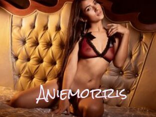 Aniemorris
