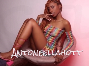 Antoneellahott