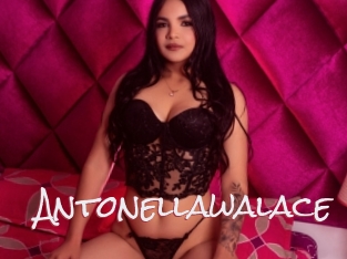 Antonellawalace