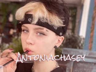 Antoniachasey