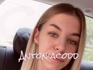 Antoniacodd