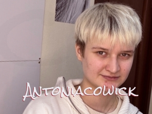 Antoniacowick