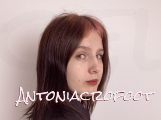 Antoniacrofoot