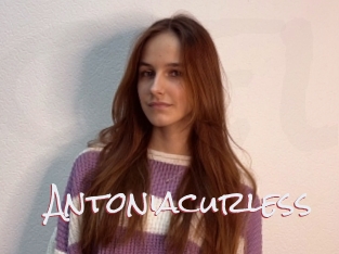 Antoniacurless