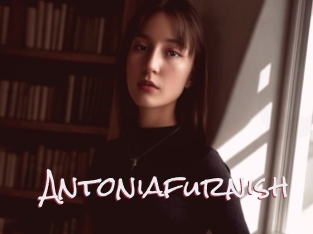 Antoniafurnish