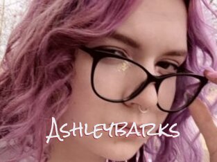 Ashleybarks
