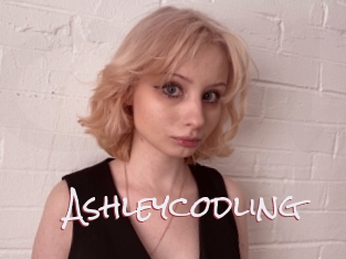 Ashleycodling