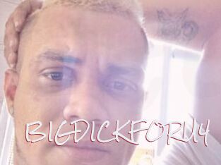BIGDICKFORU4