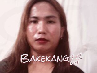 Bakekang27