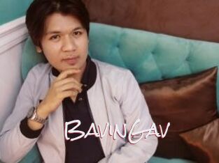 BavinGav