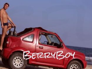 BerryBoy