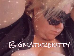Bigmaturekitty