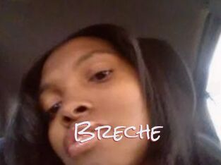Breche