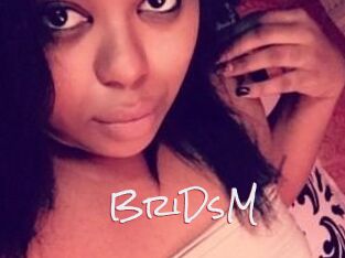 BriDsM