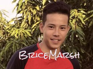 BriceMarsh
