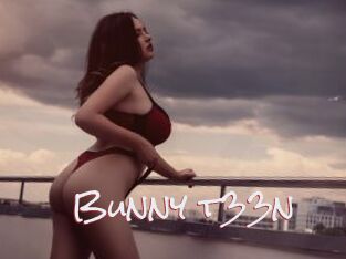 Bunny_t33n