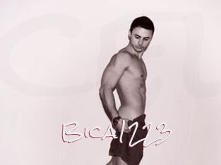 Bica1223