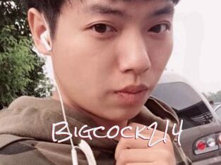Bigcock214