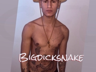 Bigdicksnake