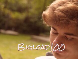 Bigload100