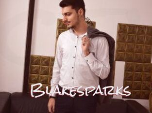 Blakesparks
