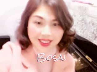Bosai